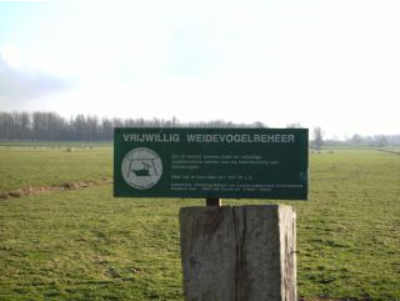 Weidevogels